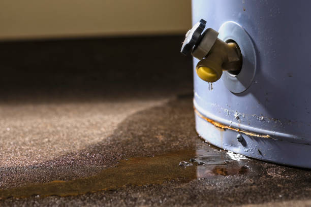 Best 24-hour water damage restoration  in Whitney Point, NY