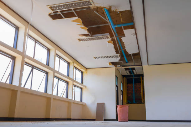Best Carpet water damage restoration  in Whitney Point, NY