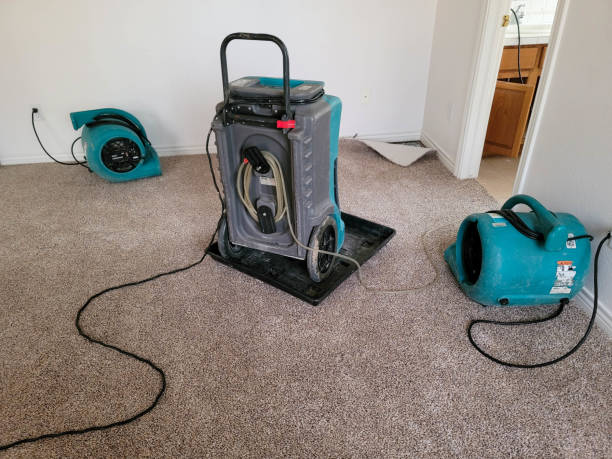 Best Emergency water damage restoration  in Whitney Point, NY