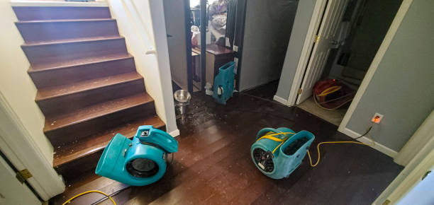 Best Ceiling water damage repair  in Whitney Point, NY