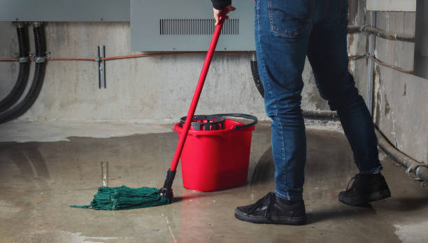 Best Flooded house restoration  in Whitney Point, NY