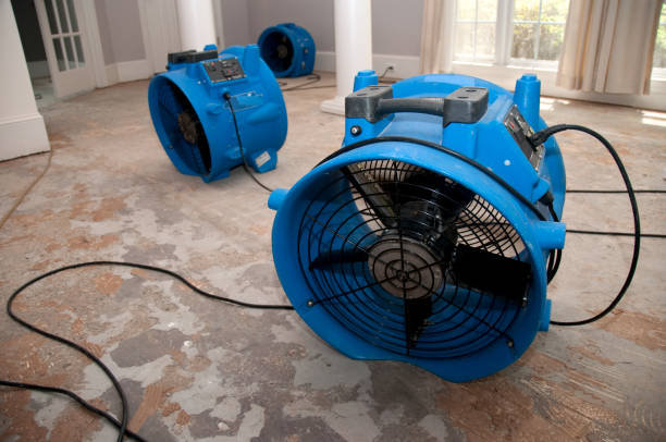 Best Water damage contractors near me  in Whitney Point, NY