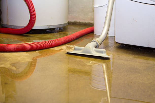 Best Water damage restoration near me  in Whitney Point, NY