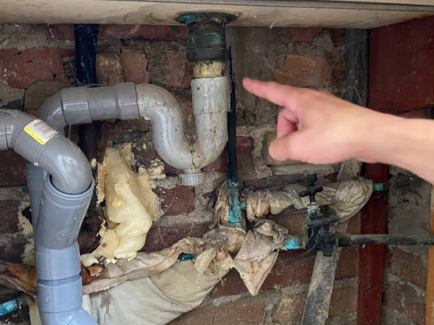 Best Water damage cleanup near me  in Whitney Point, NY
